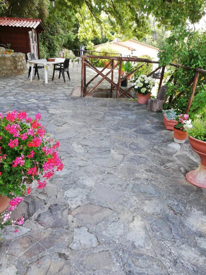 Villino Rosi Villa Monteverdi Marittimo Bagian luar foto