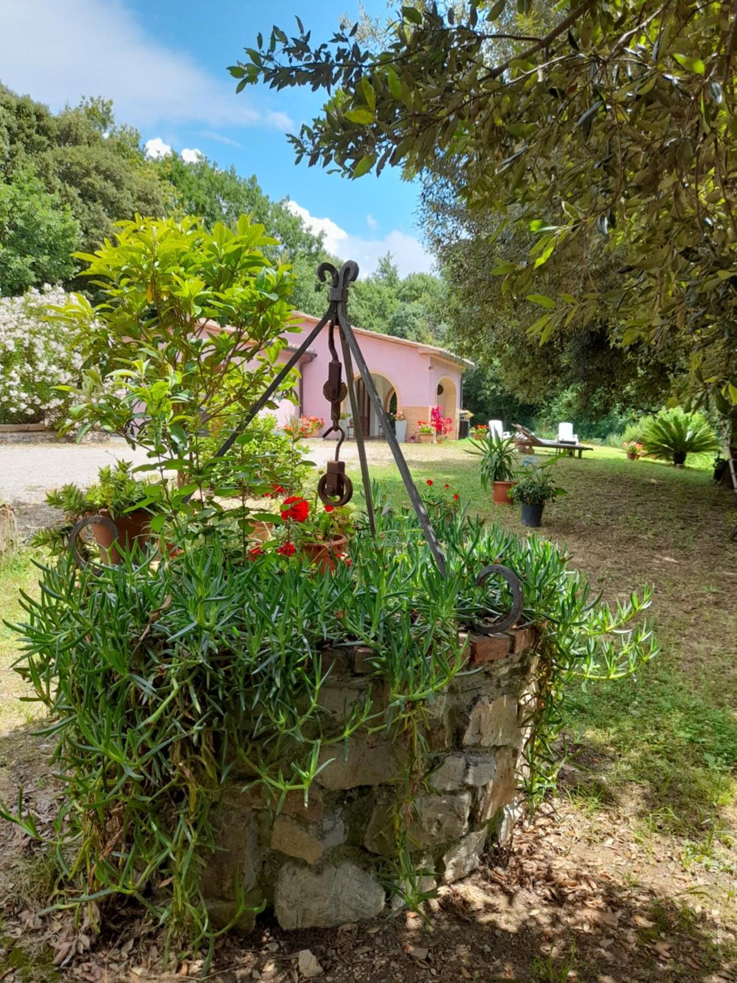 Villino Rosi Villa Monteverdi Marittimo Bagian luar foto